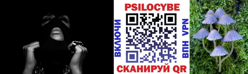 blacksprut рабочий сайт  Орлов  Псилоцибиновые грибы прущие грибы 